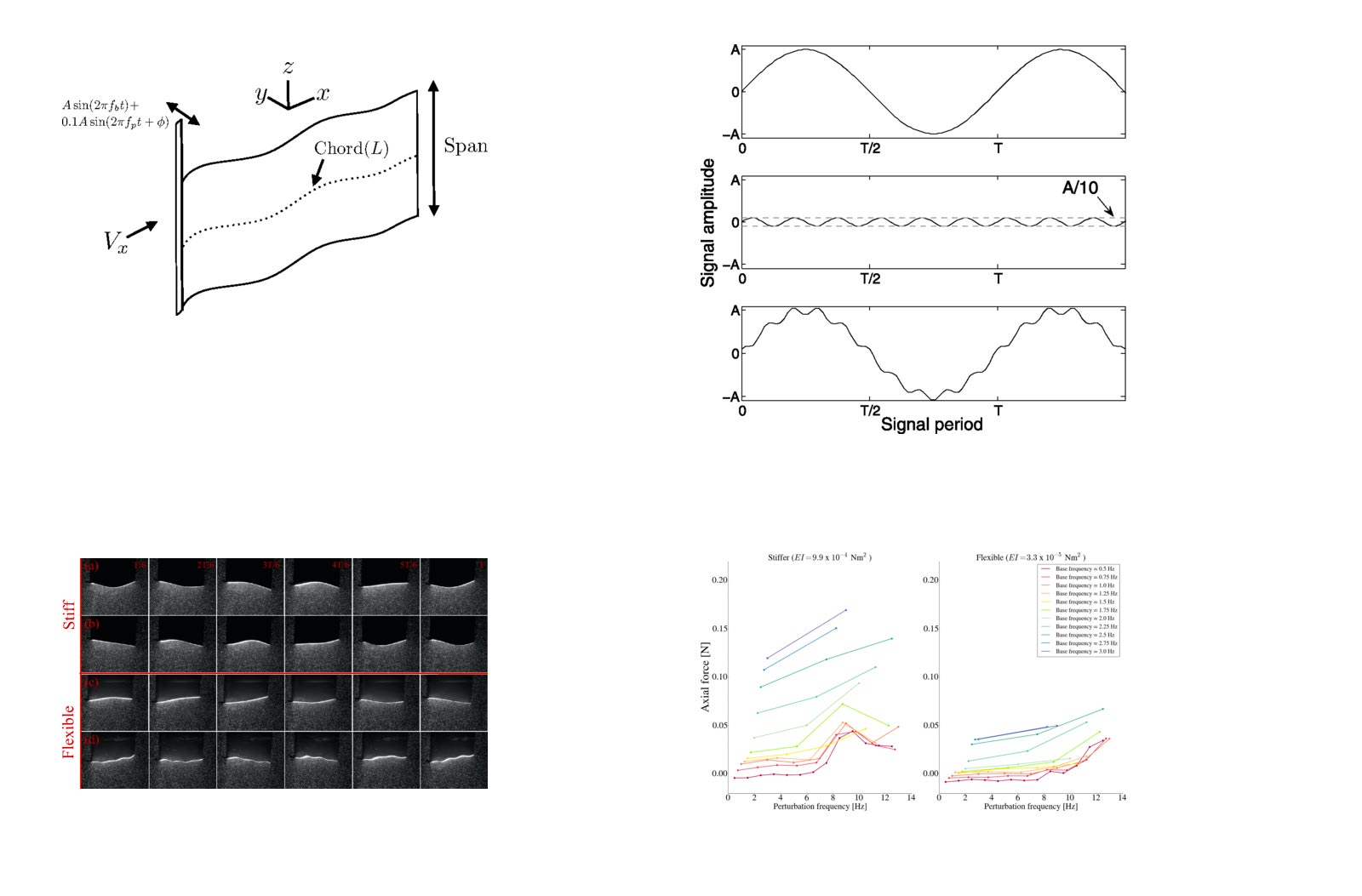 Effect of input perturbation on the performance and wake dynamics of aquatic propulsion in heaving flexible foils